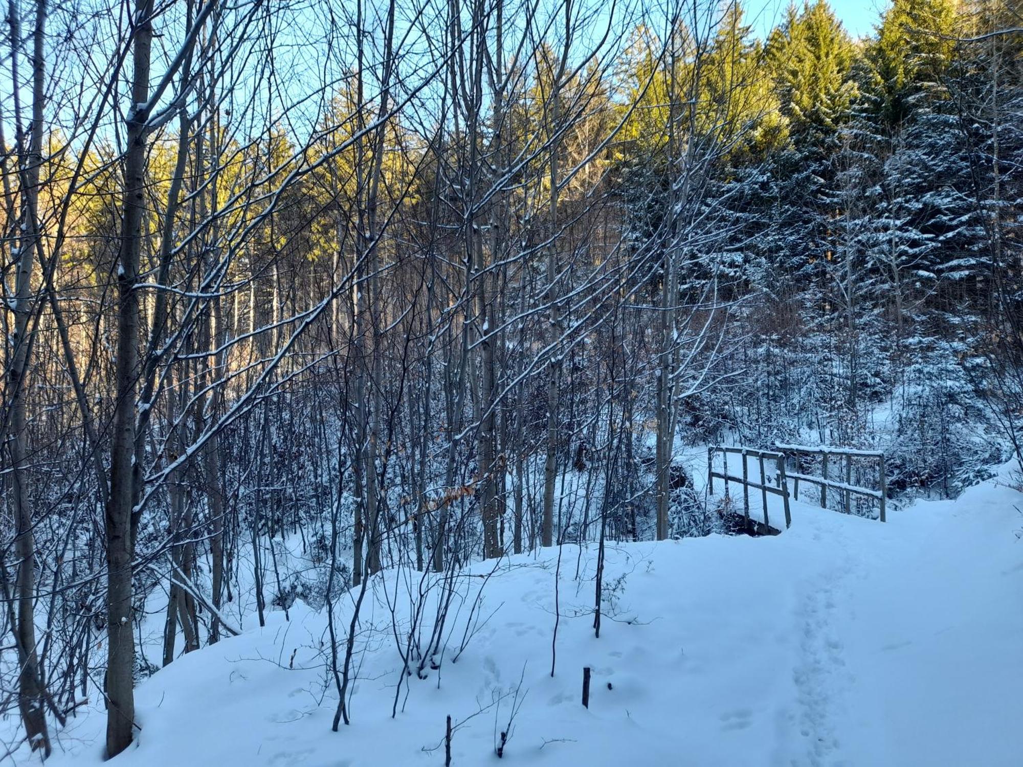 Ubytovani Na Namesti Nove Mesto pod Smrkem Exteriör bild